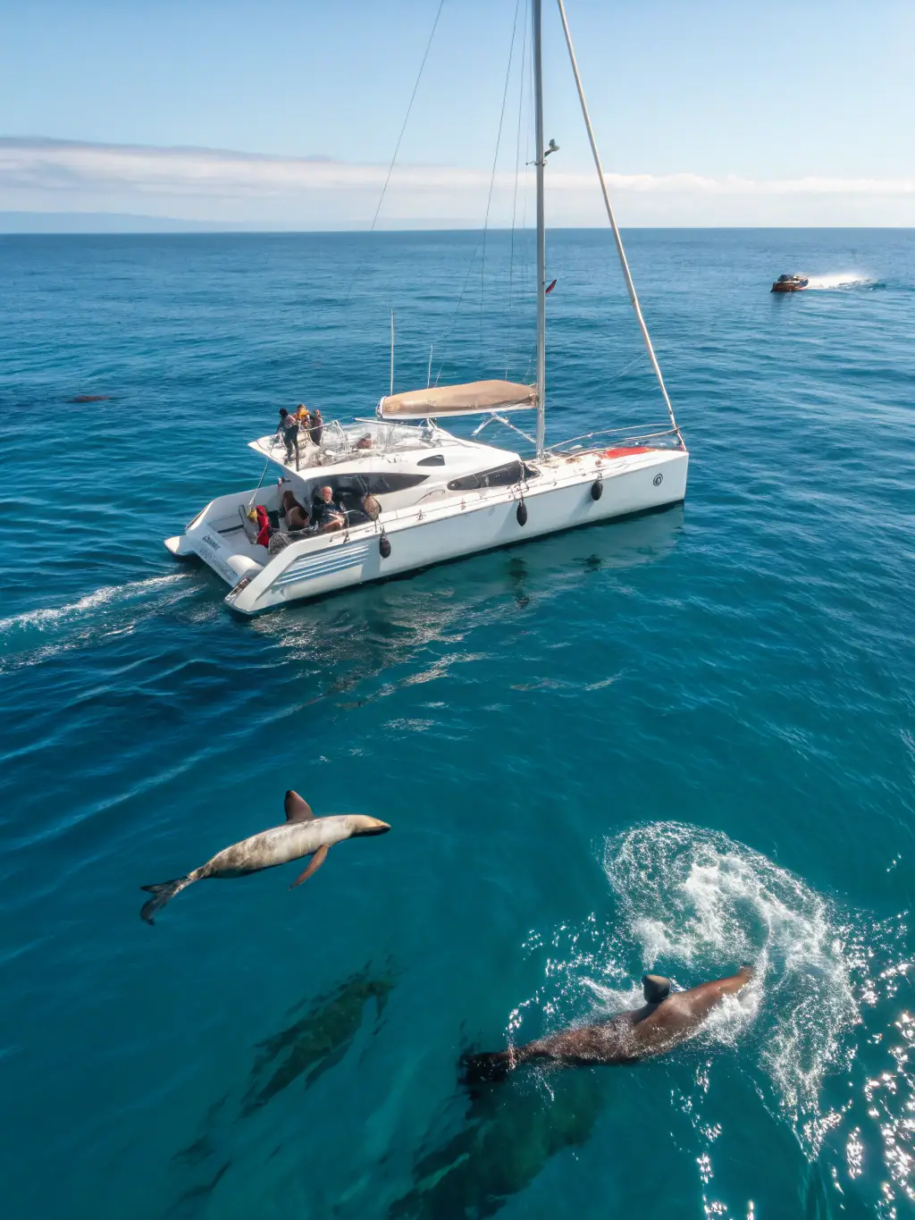 A large, stable catamaran designed for sunset cruises in Costa Rica, featuring a spacious deck, comfortable seating, and a bar area for enjoying cocktails while watching the sunset.